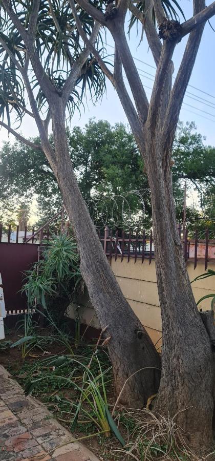 My House Guest House Претория Екстериор снимка